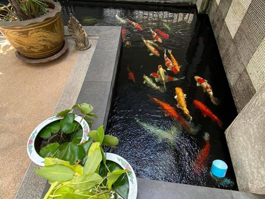 格雷斯公寓 素辇 外观 照片