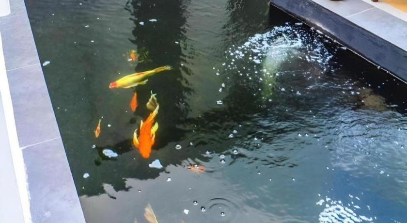 格雷斯公寓 素辇 外观 照片